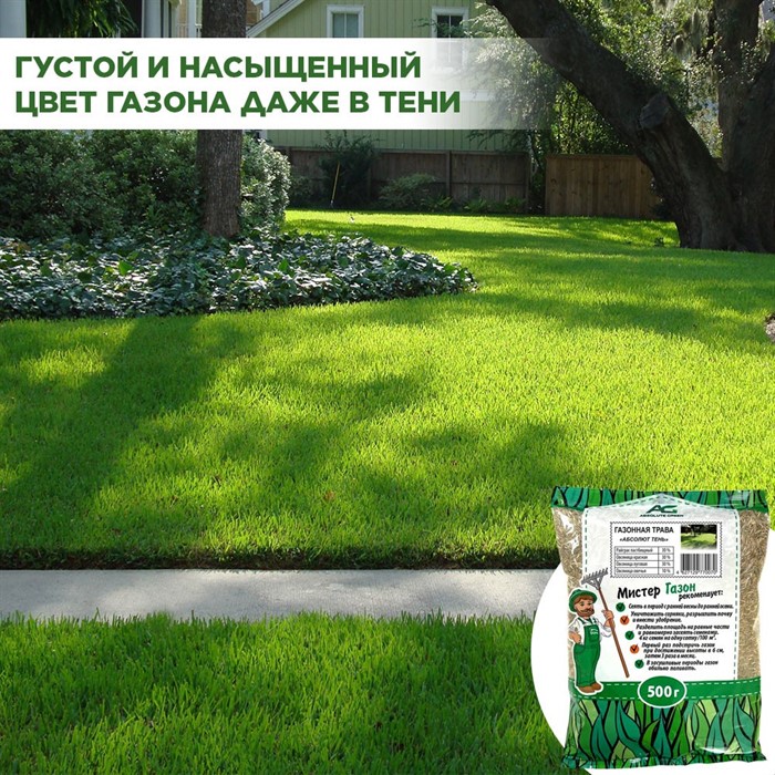 Травосмесь Газон Абсолют Тень 500г купить в Пензе цена 389 руб.|Зелёный дом