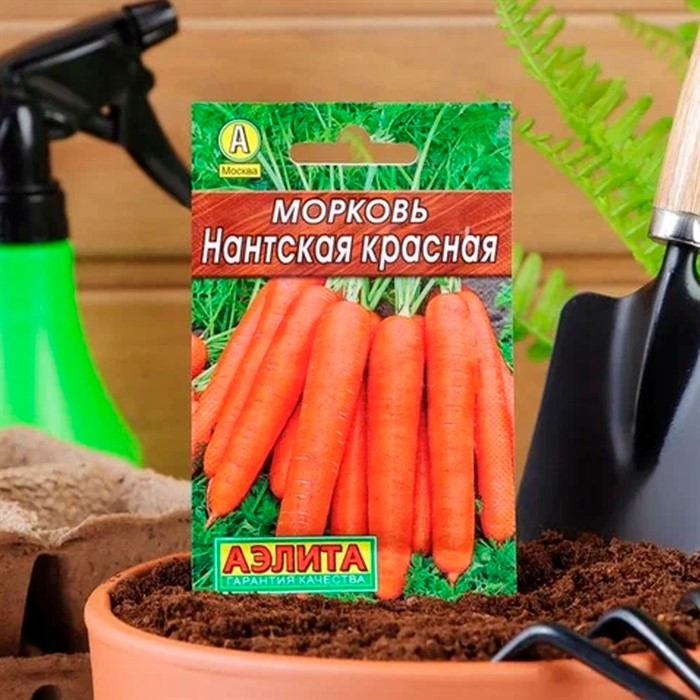 Морковь Нантская красная Лидер - фото 70767