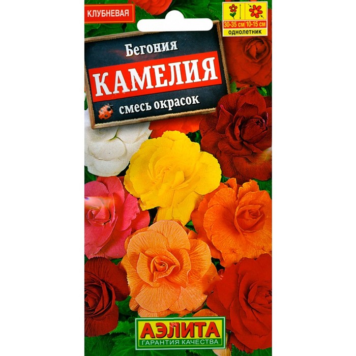 Бегония Император F1 смесь - фото 70774