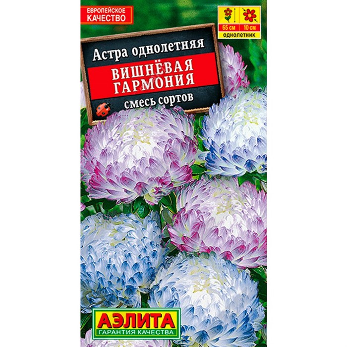 Астра Вишнёвая гармония смесь - фото 70778