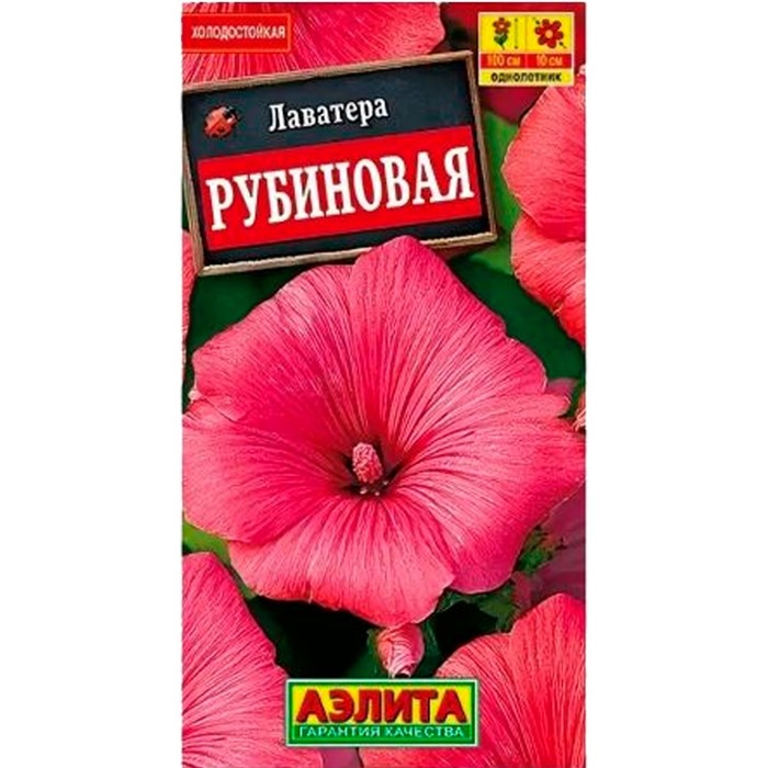 Лаватера Рубиновая - фото 70801