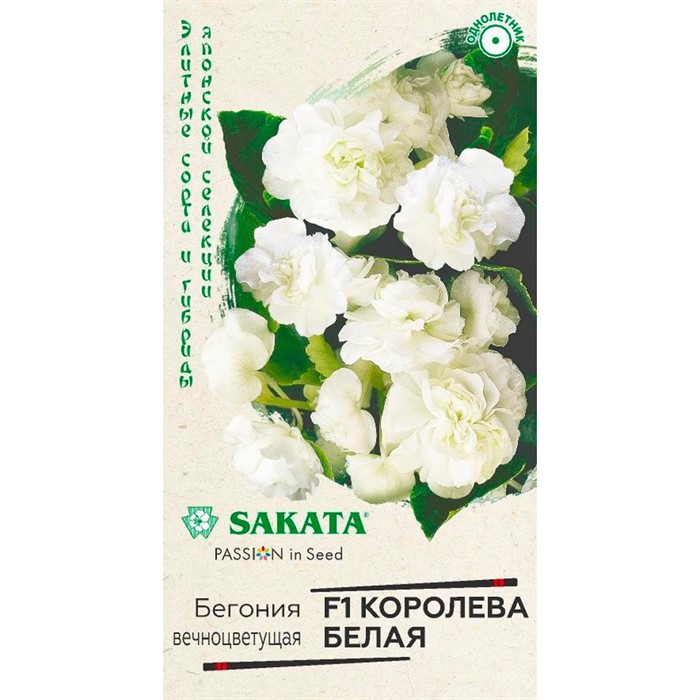 Бегония Королева F1 4шт - фото 75614