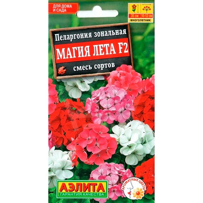 Пеларгония Магия лета F2 смесь - фото 75646