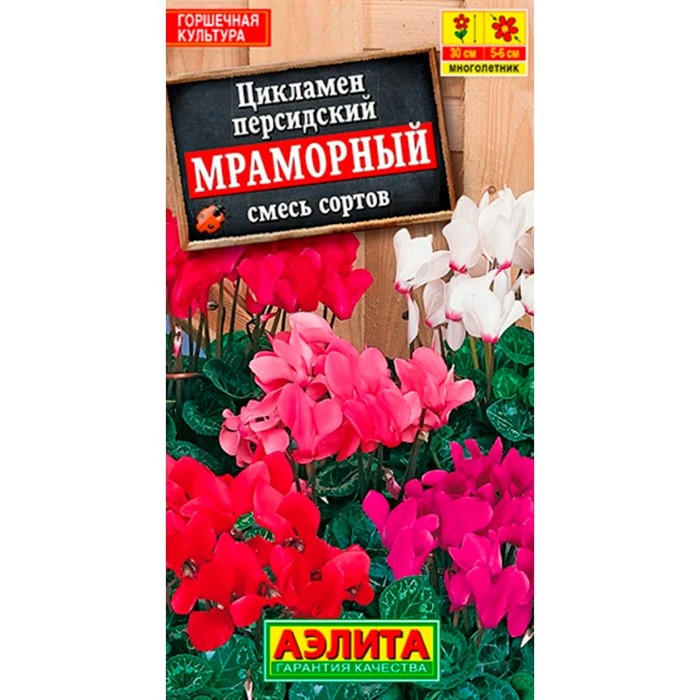 Цикламен Мраморный - фото 75647