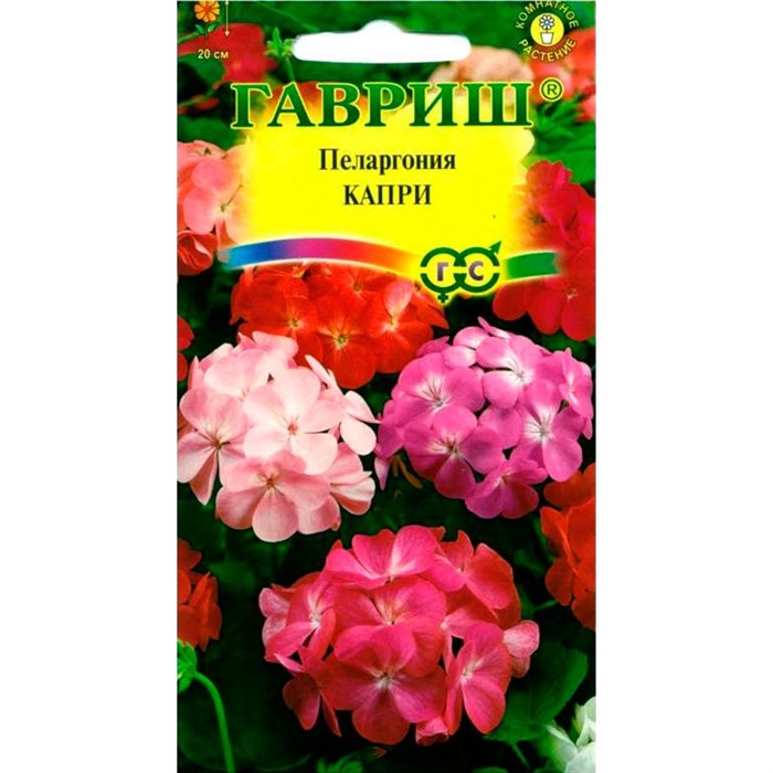 Пеларгония Капри F2 4шт - фото 75651