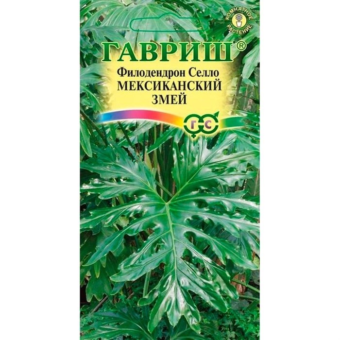 Филодендрон Селло Мексиканский змей 5 шт - фото 75652