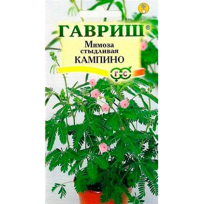 Мимоза Кампина 0,1г - фото 75654