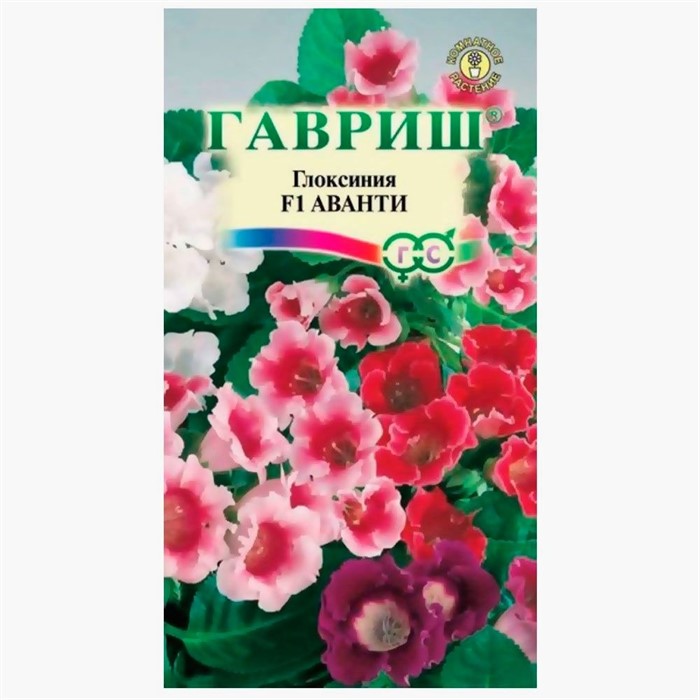 Глоксиния Аванти смесь 4шт - фото 75657