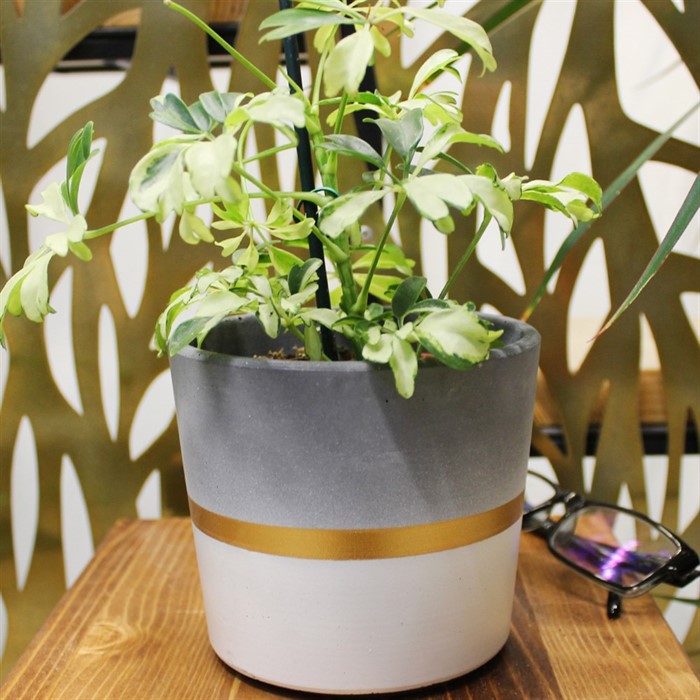 Горшок Кедр 0,8л белый №1 - фото 75688