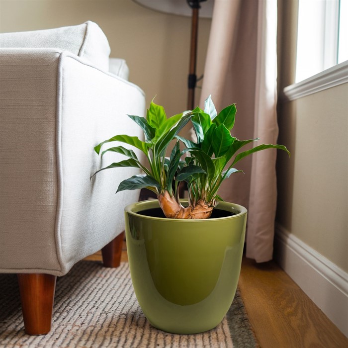 Горшок Сириус 16,5л папоротник с вкладкой - фото 75920