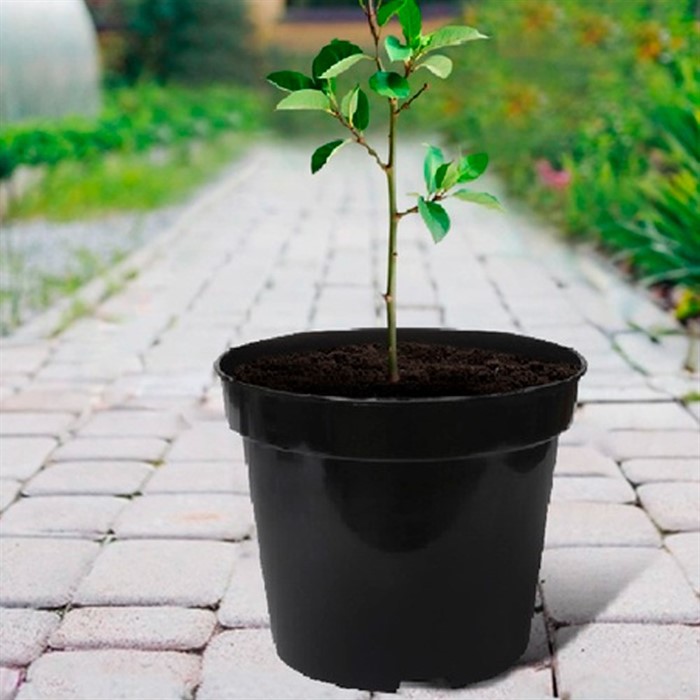 Горшок для рассады 29х22 10л - фото 77307