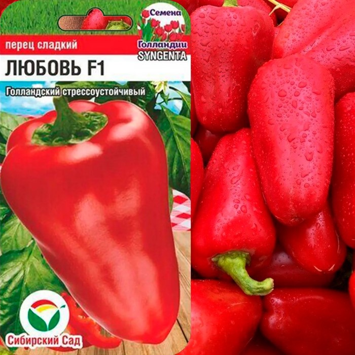 Перец Любовь F1 5шт - фото 77674
