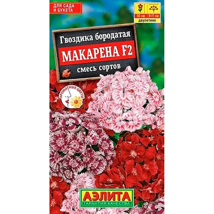 Гвоздика Макарена F2 - фото 78193