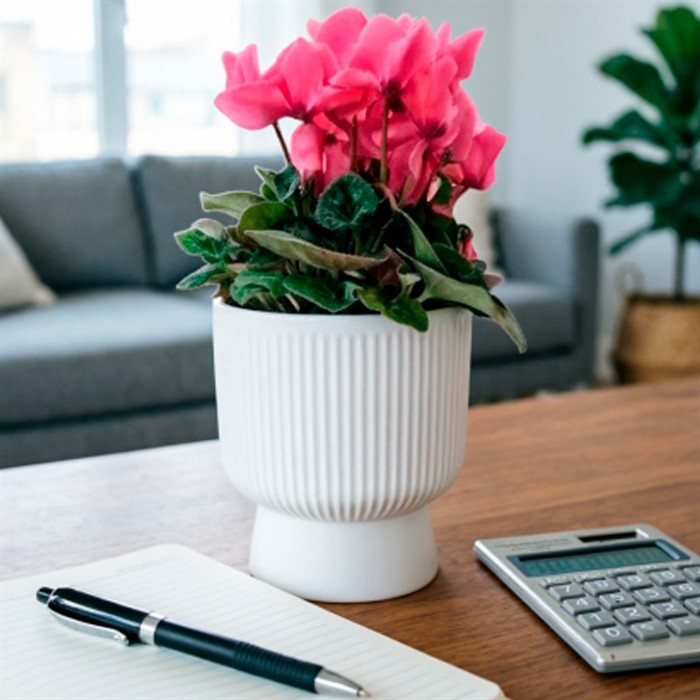 Горшок Бекер 2,8л белый с поддоном - фото 78345