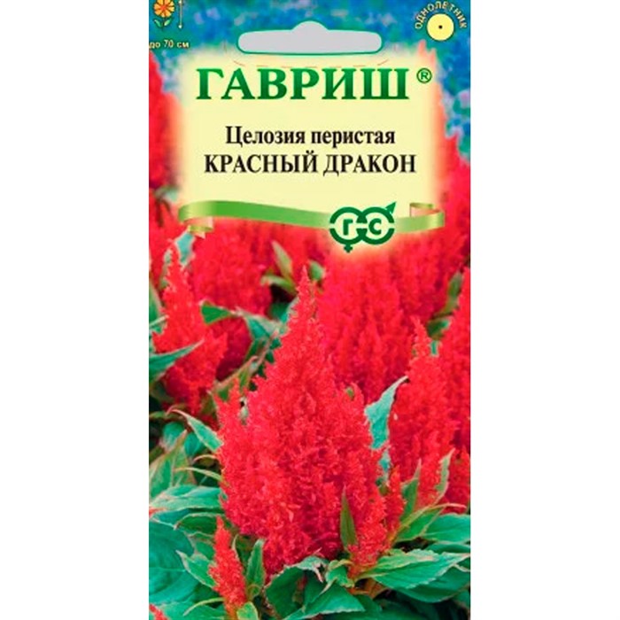 Целозия Красный дракон перистая 0,05г - фото 78346