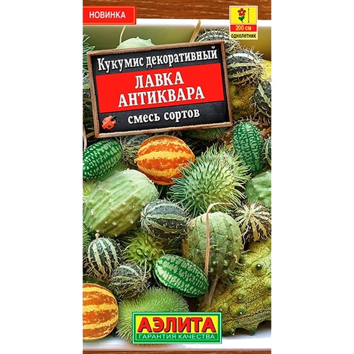 Кукумис декоративный Лавка антиквара - фото 86845