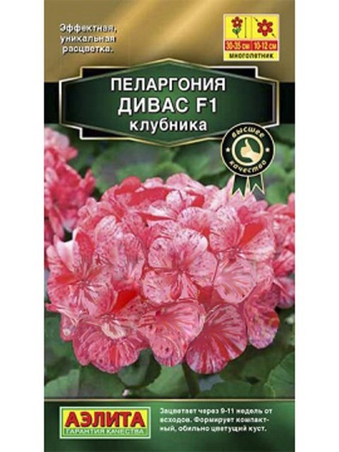 Пеларгония Дивас F1 клубника - фото 87765