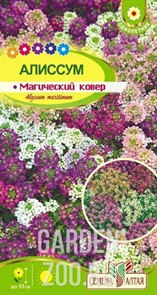 Алиссум Магический ковер  0,1гр