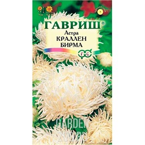 Астра Краллен Бирма крем-бел 0,3гр