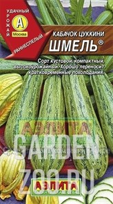 Кабачок Цуккини Шмель