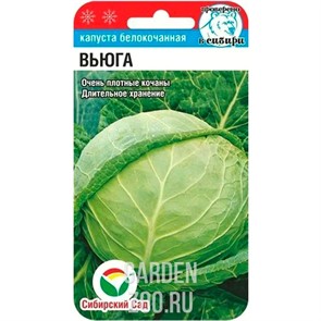 {{productViewItem.photos[photoViewList.activeNavIndex].Alt || productViewItem.photos[photoViewList.activeNavIndex].Description || 'Капуста Б/К Вьюга 0,3г'}}