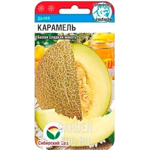 Дыня Карамель 7 шт