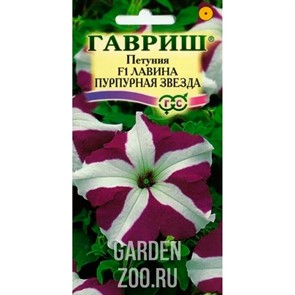 Петуния ампельная Лавина Пурпурная Звезда 7шт