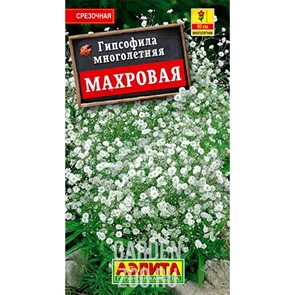 Гипсофила Махровая многолетняя