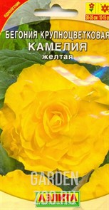 Бегония Камелия желтая