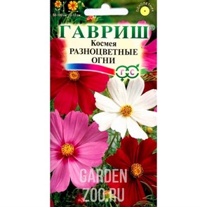 Космея Разноцветные огни 0,5гр