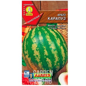 Арбуз Карапуз