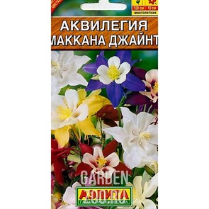 Аквилегия Маккана Джайнт