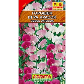 Горошек душистый Игра красок