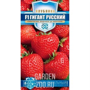 Клубника Гигант русский 5шт