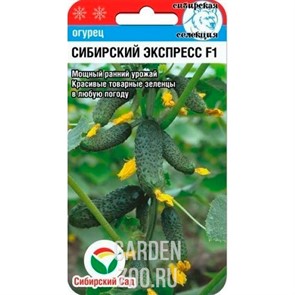 {{productViewItem.photos[photoViewList.activeNavIndex].Alt || productViewItem.photos[photoViewList.activeNavIndex].Description || 'Огурец Сибирский Экспресс 7шт'}}