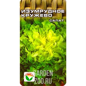 Салат Изумрудное кружево 0,5 гр