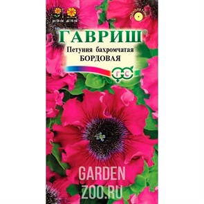 Петуния Бордовая 7шт