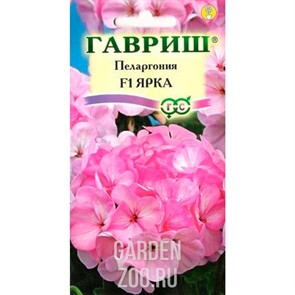 Пеларгония Ярка 4шт