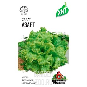 Салат Азарт 0,5 г ХИТ