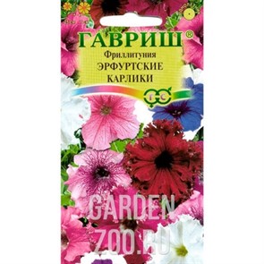 Петуния Эрфуртские карлики 7шт