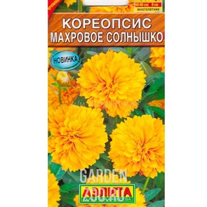 Кореопсис Махровое солнышко