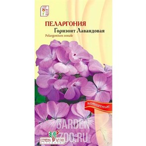 Пеларгония Горизонт Лавандовая 4шт