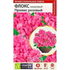 Флокс Промис розовый 5шт