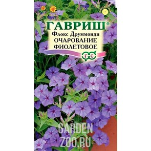 Флокс Чаровница фиолетовая 0,05гр