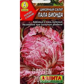 Салат цикорный Пала Бионда