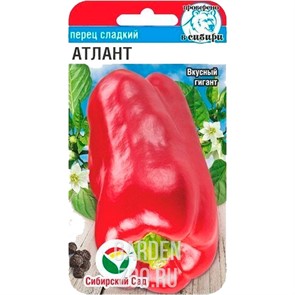 Перец Атлант