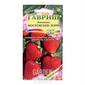 {{productViewItem.photos[photoViewList.activeNavIndex].Alt || productViewItem.photos[photoViewList.activeNavIndex].Description || 'Земляника Московские зори 4шт'}}