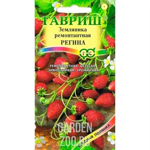 {{productViewItem.photos[photoViewList.activeNavIndex].Alt || productViewItem.photos[photoViewList.activeNavIndex].Description || 'Земляника Регина 0,03г'}}