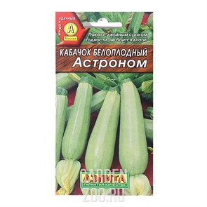Кабачок Астроном