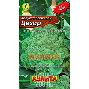 {{productViewItem.photos[photoViewList.activeNavIndex].Alt || productViewItem.photos[photoViewList.activeNavIndex].Description || 'Капуста брокколи Цезар Лидер'}}
